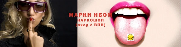 гашик Надым