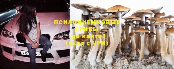 прущая мука Богородск