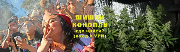 крисы Богданович