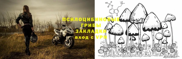 мдма Богородицк