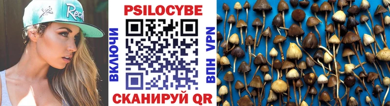 Галлюциногенные грибы Magic Shrooms Долинск